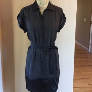 Club Monaco Gauzy Dress